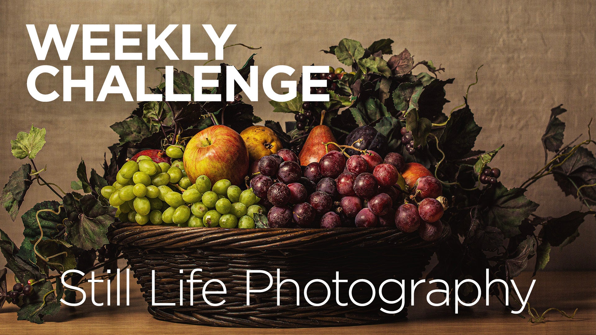 #MagModChallenge - Still Life Photos using MagMod!