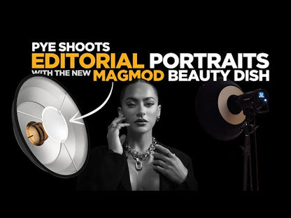 Beauty Dish XL 20 Pro Kit